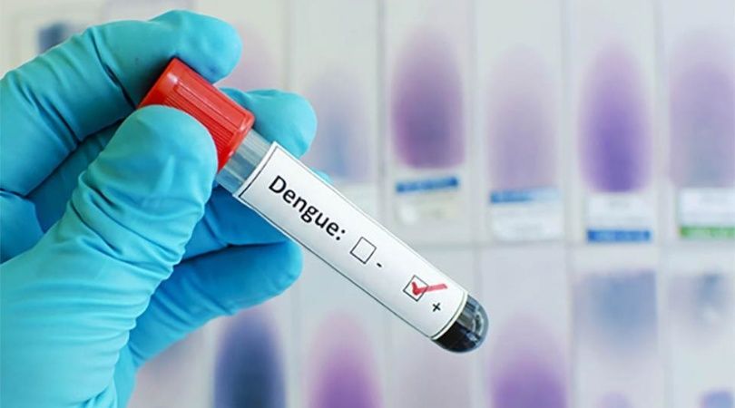 Recomendaciones por dengue y sarampión en Buenos Aires