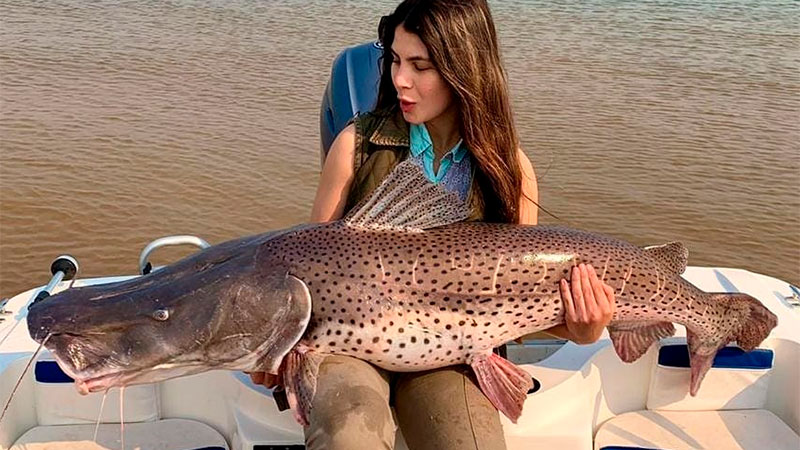 Bajante: advierten de años "muy duros" para la pesca y piden “cuidar el recurso”