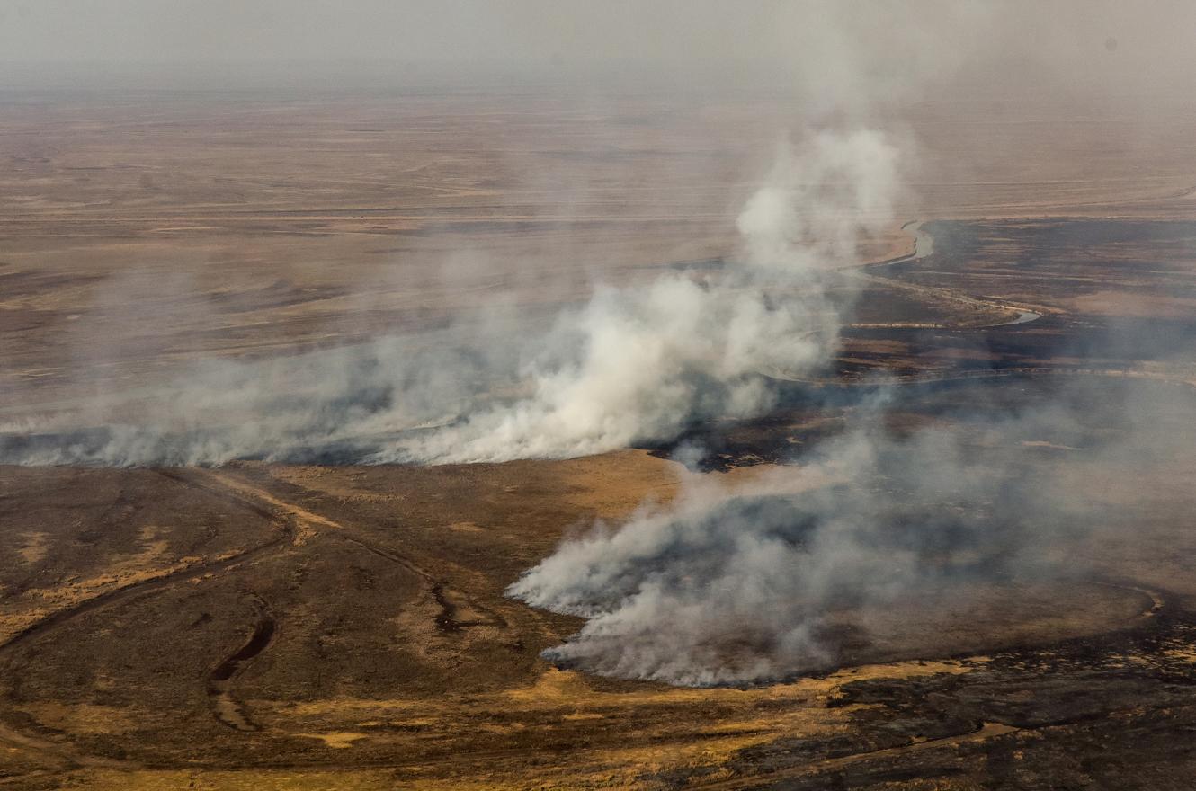 Incendios en las islas: El fuego sigue quemando el delta y Ambiente presentó una cautelar en la justicia para aplicar sanciones